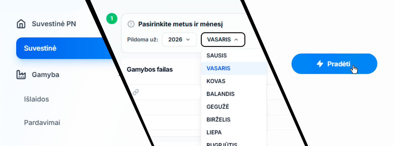 Finansinių paslaugų įmonė